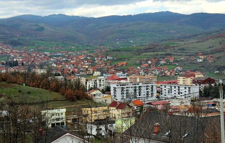 Odbori Narodne stranke iz Gnjilana i Kosovske Kamenice&hellip;