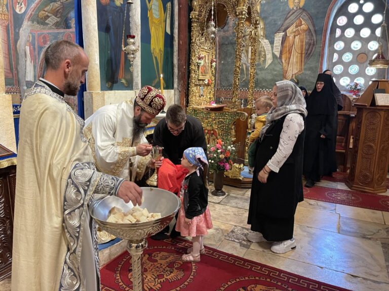 Vladika Ilarion iz Pećke Patrijaršije: Presveta Bogorodica da&hellip;