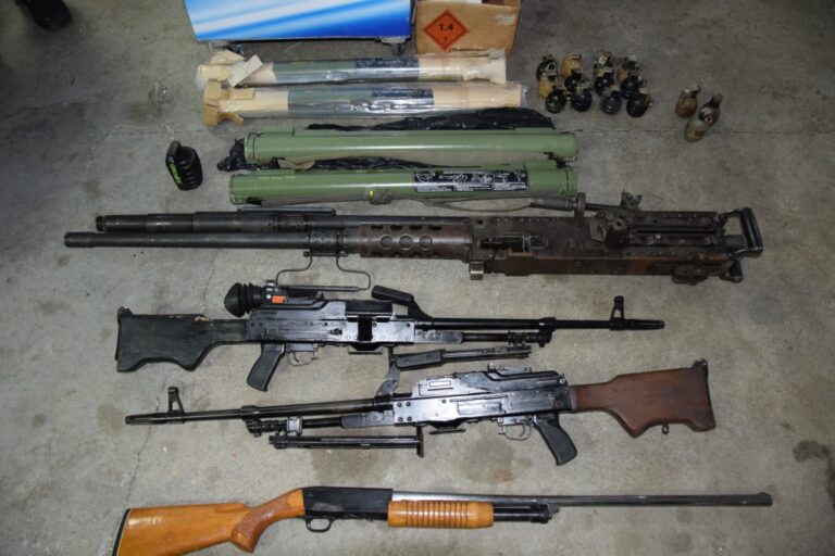 BiH će ispitati navode da je Milan Radoičić&hellip;