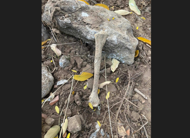 Eparhija: Slike kostiju i nadgrobnih spomenika – opšta slika stanja u kom se srpski narod i SPC nalaze