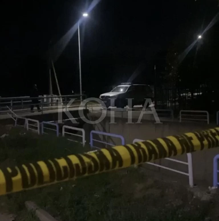 Ubistvo u Vučitrnu, dvoje ranjeno