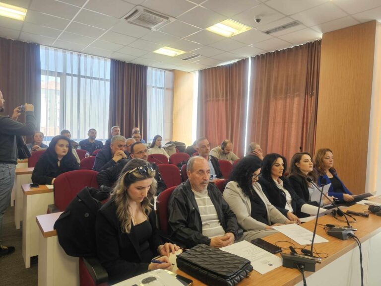 Odbornici SO Severna Mitrovica priznali turski jezik kao tradicionalni