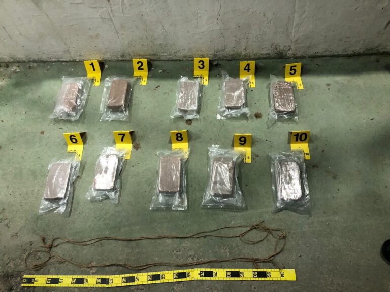 Uhapšena četvorica, zaplenjen heroin, kokain, marihuana i oružje