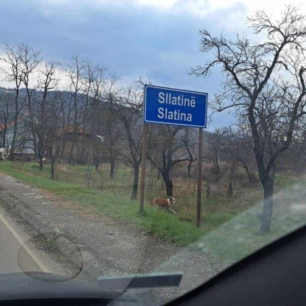 Sprečen pokušaj prodaje parcele u&hellip;