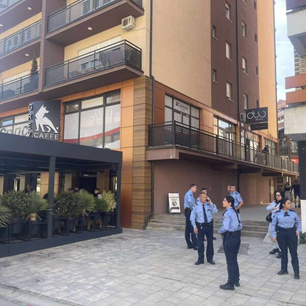 Kosovska Mitrovica: Opštinska inspekcija u kafiću Grej
