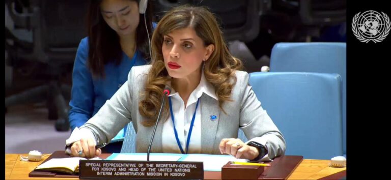 Zijade u SBUN: Dijalog i uzajamno razumevanje označavaju put napred