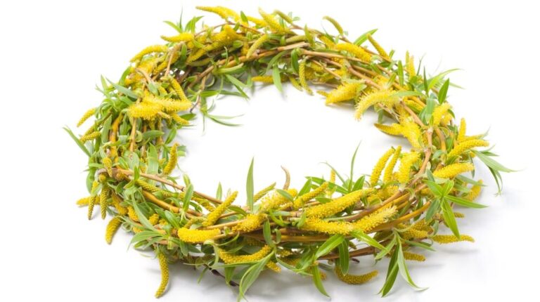 Danas je Lazareva subota, praznik u narodu poznat i kao Vrbica