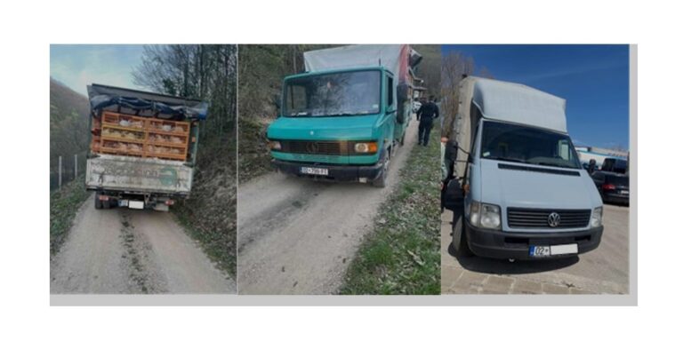 Sever Kosova: Sprečen šverc živine sa teritorije Srbije