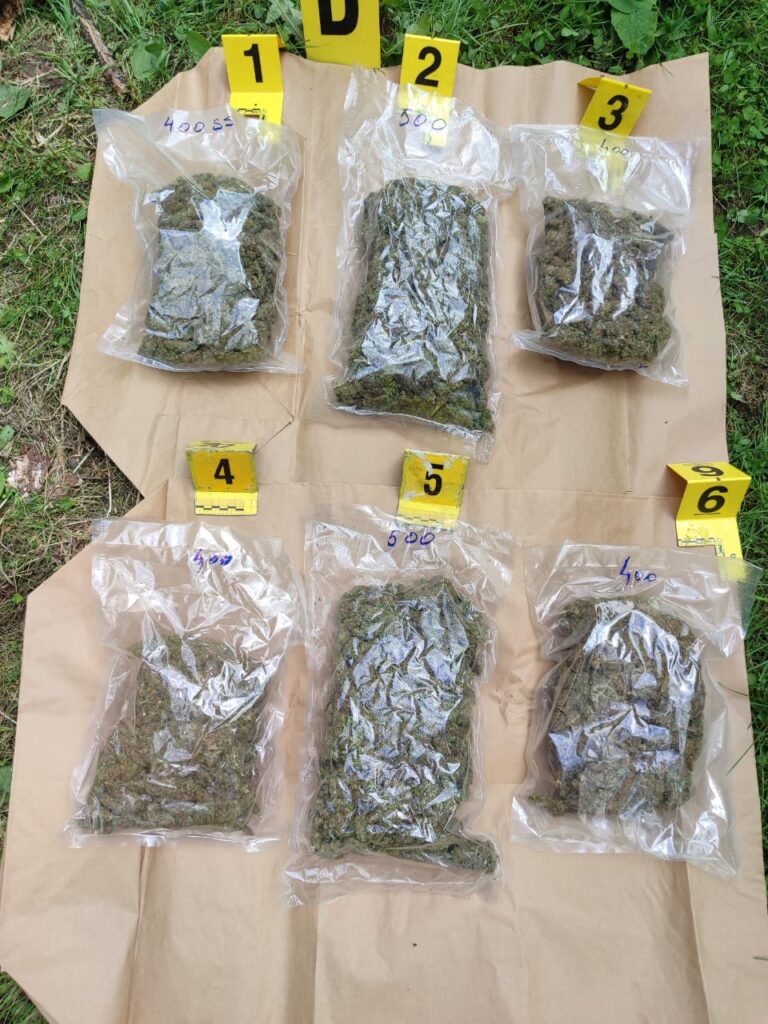 Policija kod Leposavića pronašla narkotike, vatreno oružje i municiju