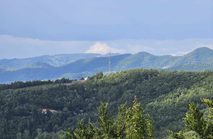 Srpska lista: Kosovska policija brutalno pretukla i vezala za drvo meštanina Drena