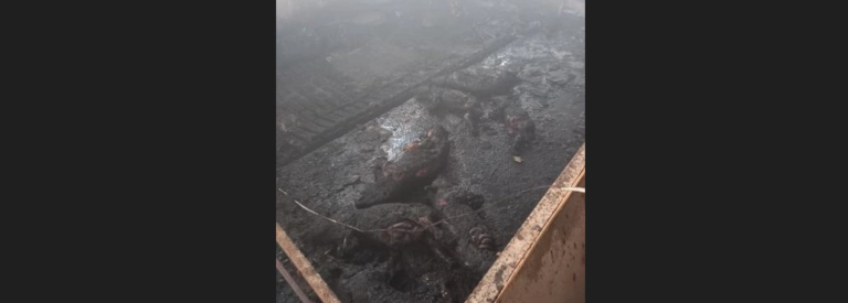 Požar u Zubinom Potoku, izgorela štala sa životinjama