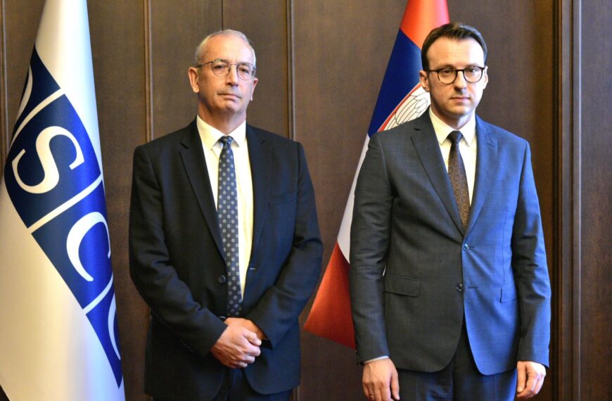 Petković primio u oproštajnu posetu šefa Misije OEBS-a na Kosovu Majkla Devenporta