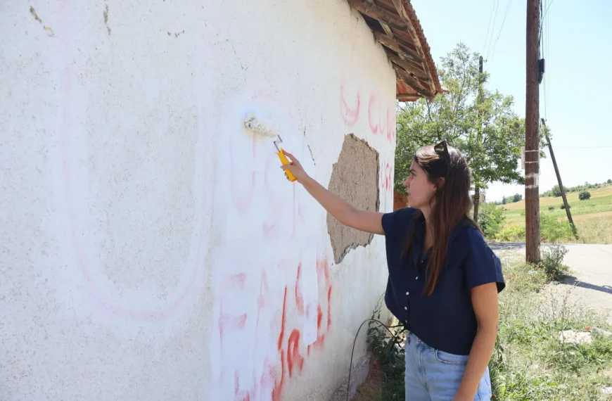 Aktivisti Inicijative mladih za ljudska prava uklonili uvredljive grafite sa kuće u Gojbulji