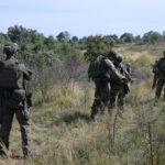 RTS: Grupa Albanaca pucala na…