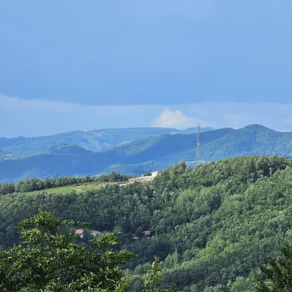 Hapšenje u Donjem Jasenoviku zbog&hellip;