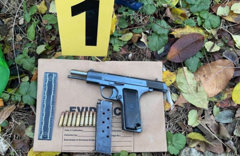 Lice osumnjičeno za pokušaj ubistva uhapšeno u Prištini, oduzeto vatreno oružje