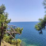 Danas počinje leto, obdanica najduža…