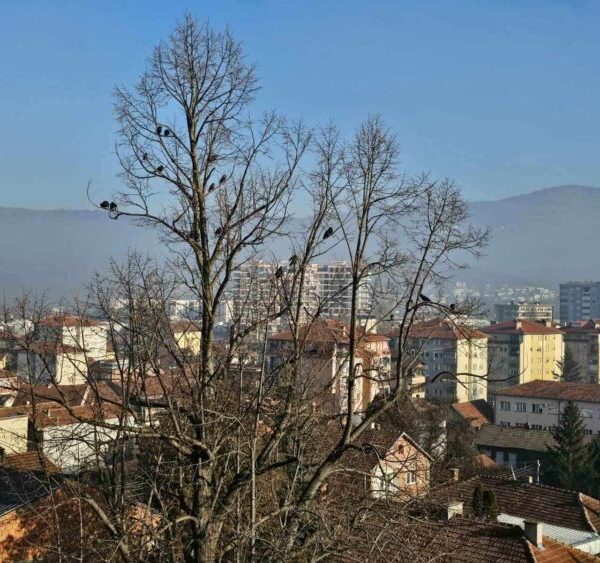 U Severnoj Mitrovici privođenje zbog…