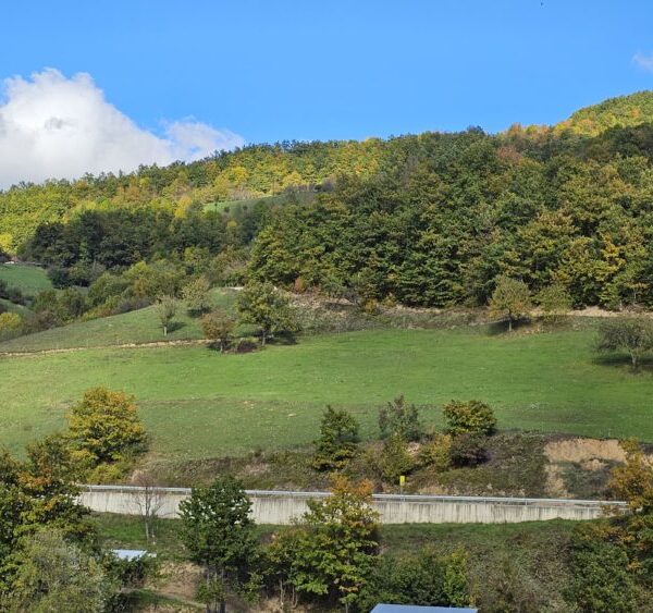 Sunčano i toplo vreme do…