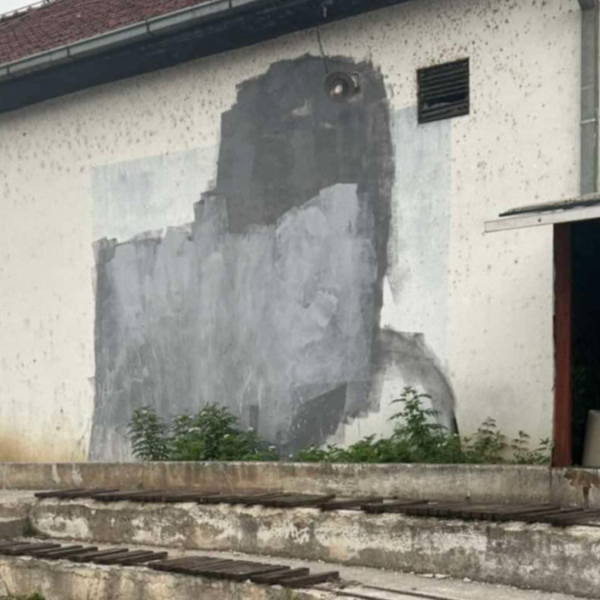 Pokrenuta inicijativa za obnovu prekrečenih&hellip;