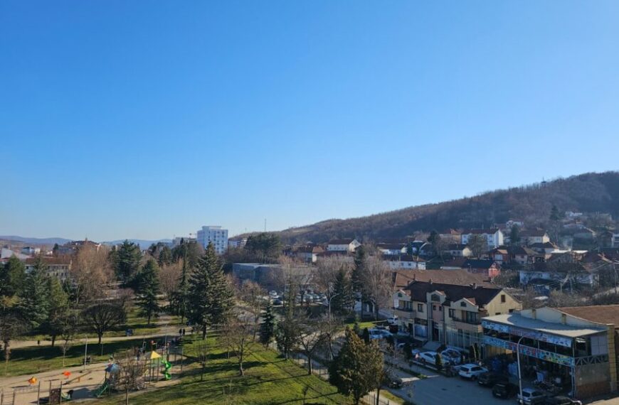 Kosovska Kamenica: Zaplenjen kubik drva, vozač iz Srbije osumnjičen za falsifikovanje dozvole