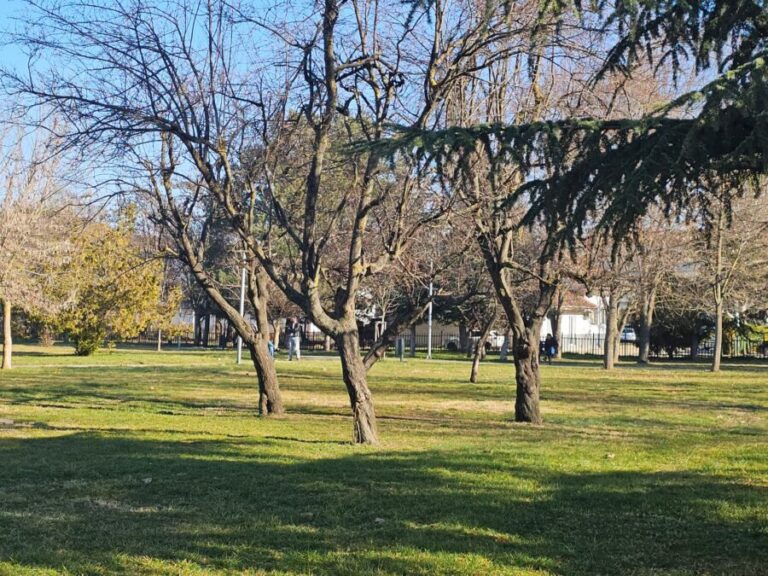 Uhapšen zvaničnik Opštine Klokot, osumnjičen da je oštetio budžet za skoro 40 hiljada evra