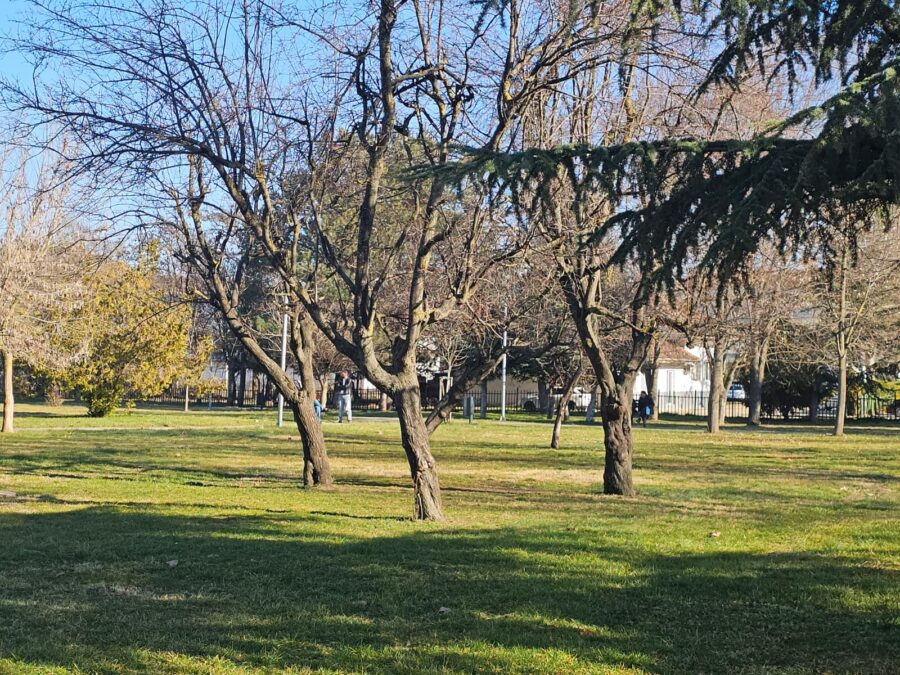 Uhapšen zvaničnik Opštine Klokot, osumnjičen da je oštetio budžet za skoro 40 hiljada evra