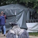 Od izbora u Mitrovici 2014,…
