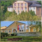 Srpske NVO i akademska zajednica…