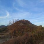 Ukradene košnice sa pčelama