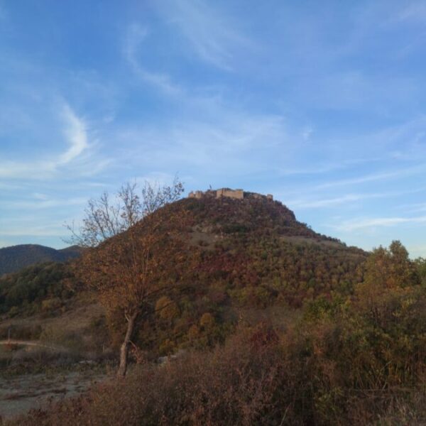 Ukradene košnice sa pčelama