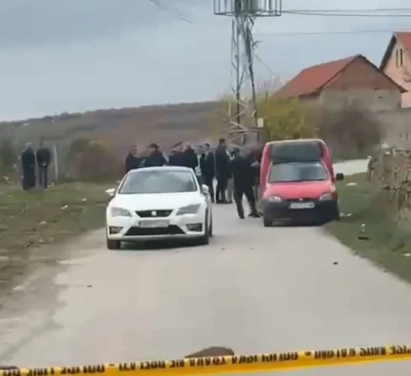 Dva brata ubijena kod Mališeva,…