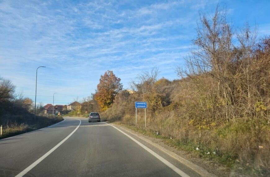 Zaplena oružja i robe u Sočanici i Leposaviću