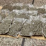 Zbog trgovine drogom u Prokuplju…