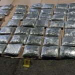 Policija uhapsila N. A. poreklom…