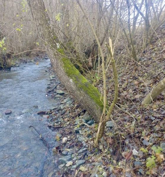 Svećlja o detonatorima: Sprečili smo…