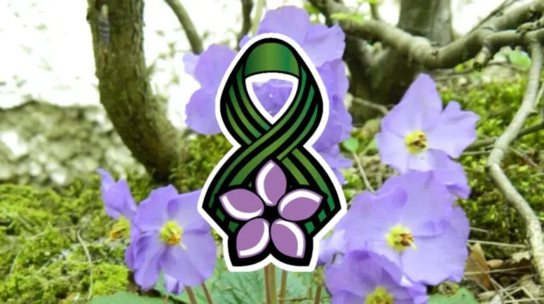 Srbija obeležava Dan primirja