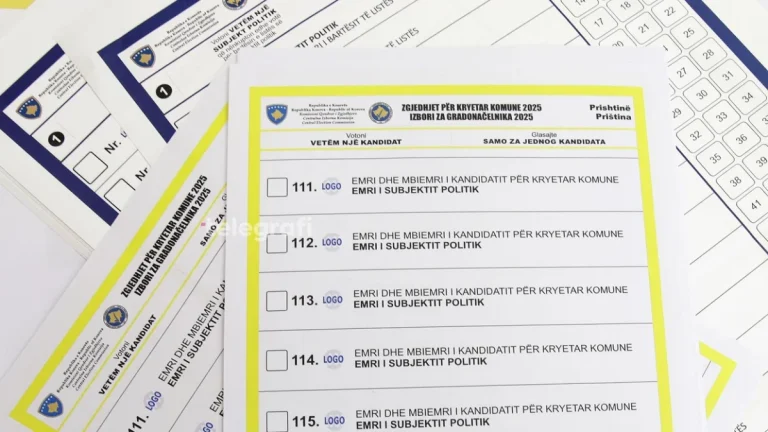 Predate izborne liste: 1.181 kandidat ulazi u trku za Skupštinu