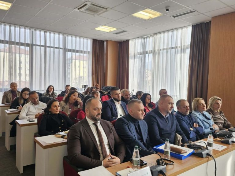 Prva redovna sednica SO Severna Mitrovica 30. januara