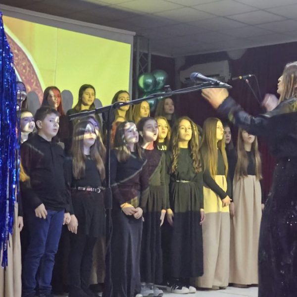 Kosovska Mitrovica: Svečanom akademijom obeleženo…