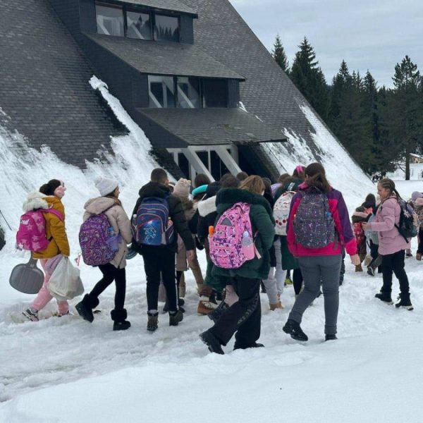 Kancelarija organizovala zimovanje na Tari&hellip;