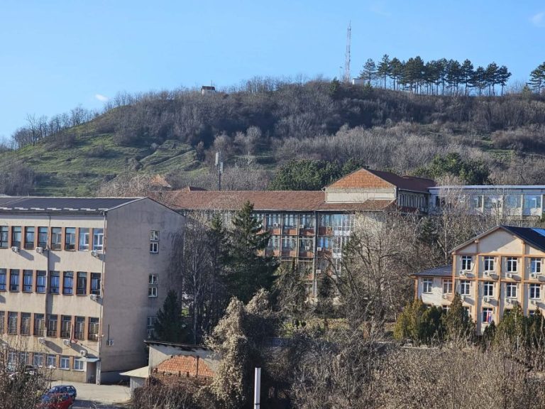 Prvorođena beba u Novoj godini u KBC Kosovska&hellip;