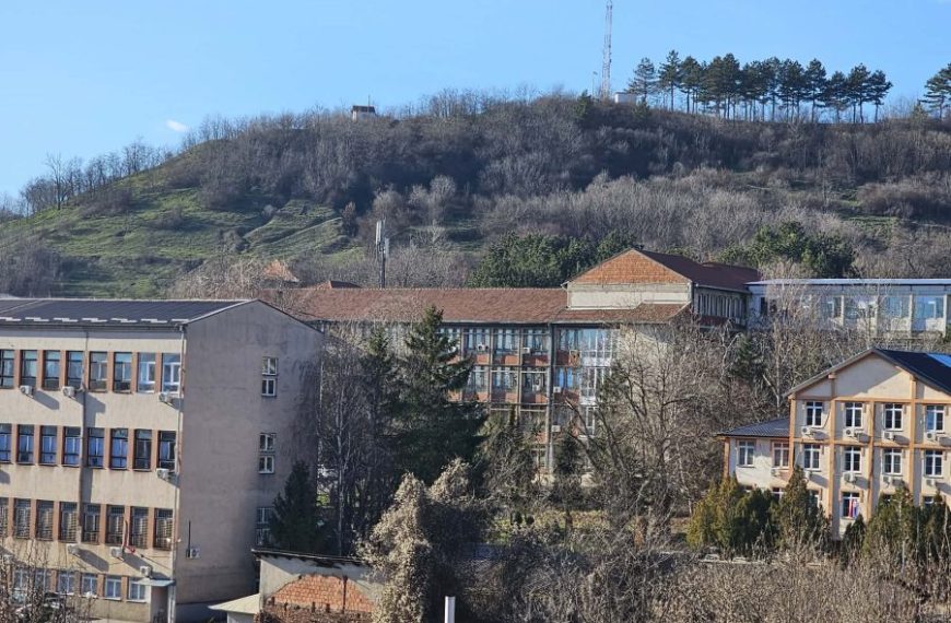 Prvorođena beba u Novoj godini u KBC Kosovska Mitrovica dečak