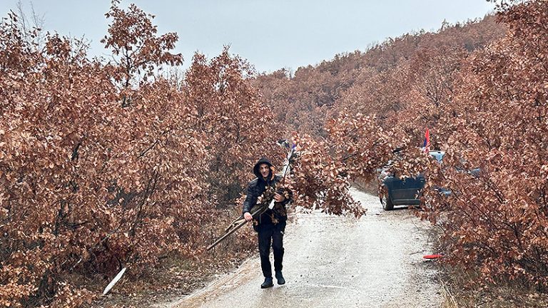 Obavljena tradicionalna seča Badnjaka na centralnom Kosovu
