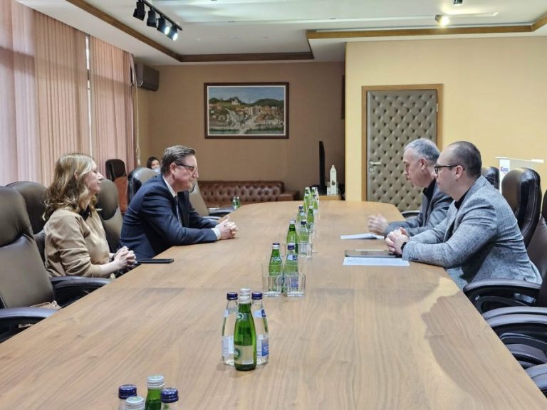 Elek i Simić sa ambasadorom Slovenije o položaju Srba