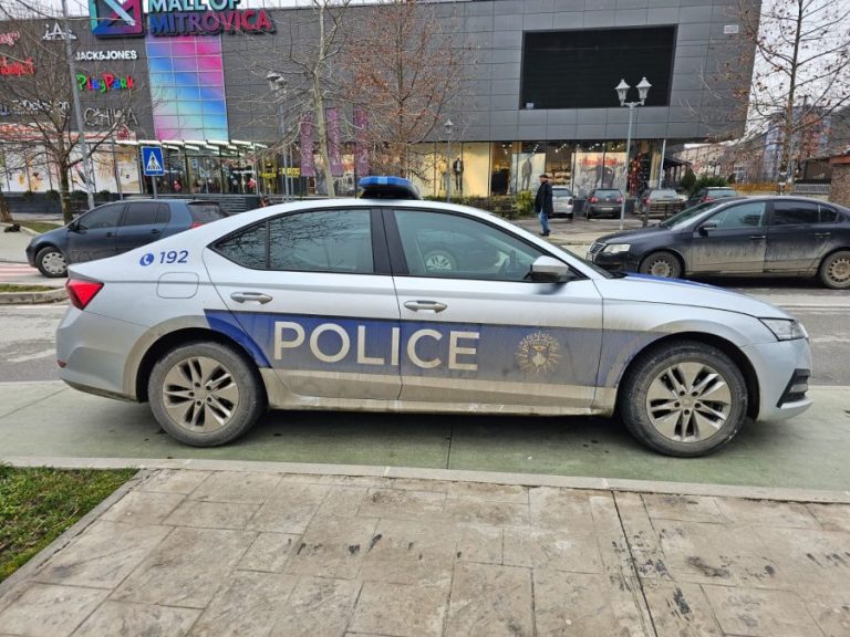 Zaplena oružja i narkotika u Zvečanu, Leposaviću i Gračanici, teška krađa u Novom Brdu