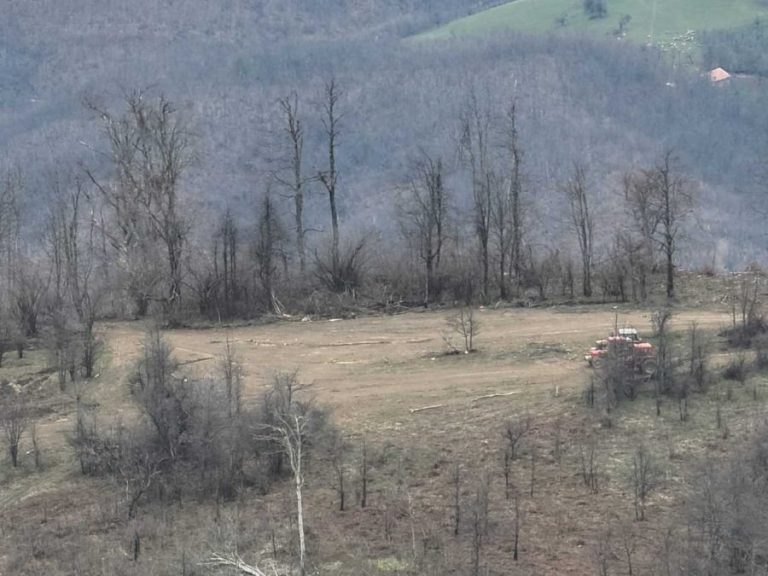 Krijumčarenje drva iz Srbije sprečeno u Ajkobili, zaplenjeni oružje i vozila