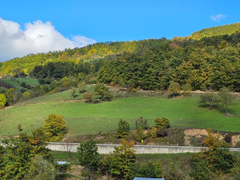 Novi pretresi na KiM, privedeno šest osoba kod Zubinog Potoka