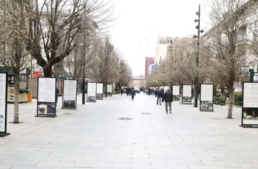 Uklonjena izložba o masakrima u Prištini, Specijalno tužilaštvo razmatra krivičnu odgovornost