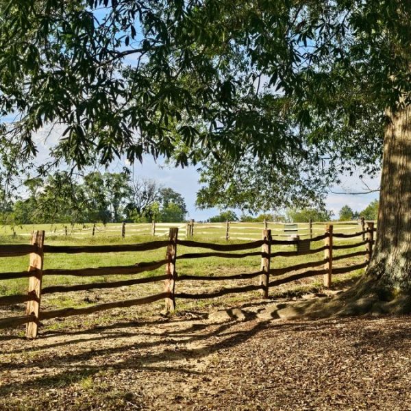 Pretežno vedro za vikend, naredne&hellip;